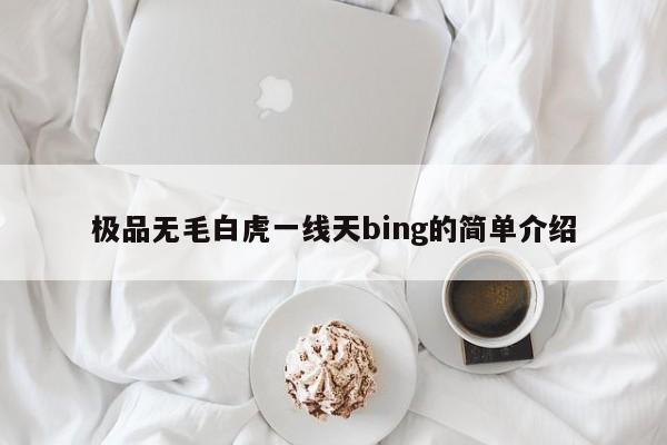 极品无毛白虎一线天bing的简单介绍