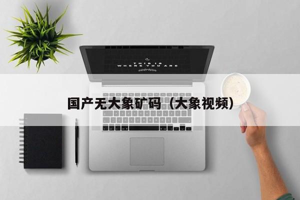 国产无大象矿码（大象视频）