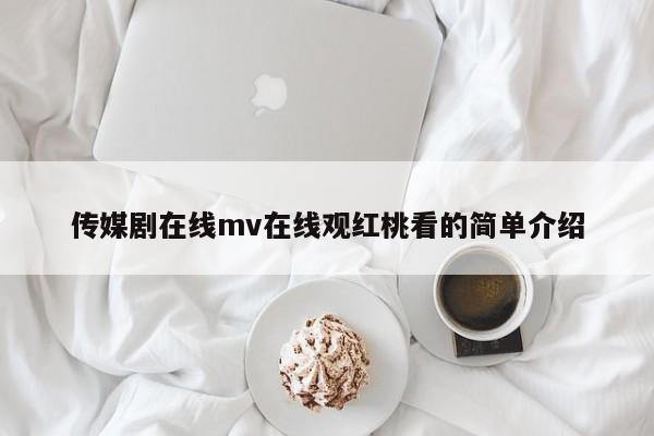 传媒剧在线mv在线观红桃看的简单介绍